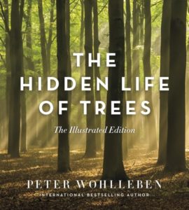 the hidden life of trees book